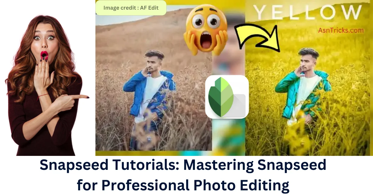 Snapseed Photo Editing Tutorial in mobile